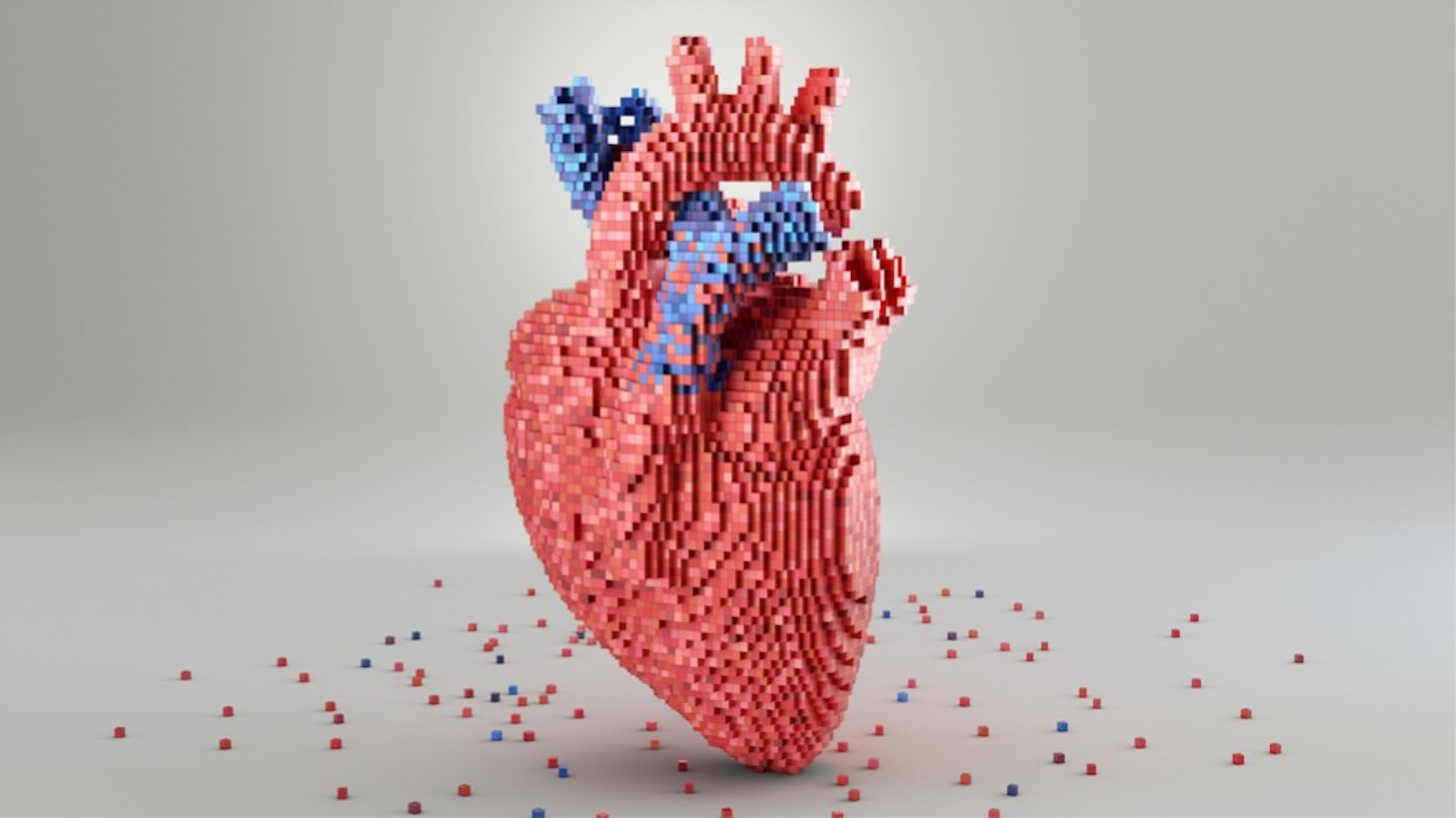 Heart Failure Program